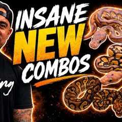     WE’RE BACK… With NEVER Before Seen Combos !! 
