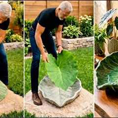 10 + DIY Garden Ideas That Will Completely Transform Your Backyard