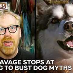 Is It Impossible To Teach An Old Dog New Tricks? | MythBusters