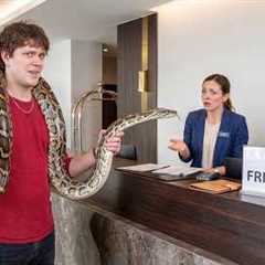 I Tested 'PET FRIENDLY' Hotels With Exotic Animals