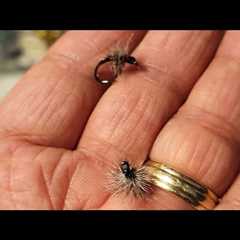 Pond Fly Fishing, Easy Dry Fly!