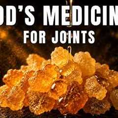 10 Biblical Herbs to 'Revive' Aging Joints - Ancient Secrets for Natural Healing