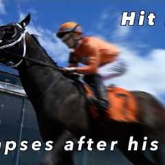Hit Zero- The horse who collapsed and died after first race on Black- Eyed Susan Day Laurel Park 