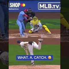 Catch of the Year? 🤯⚾#mlb #baseball  #viral #sports