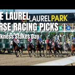 Live Laurel Horse Racing Picks - Preakness Stakes Day