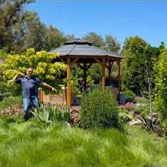 Planning the Perfect Spots for My Haddonstone Garden Features