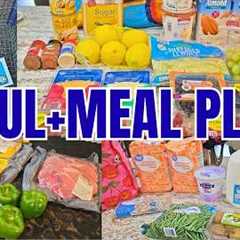 Budget Grocery Haul | $133 Costco, Aldi & Walmart Haul