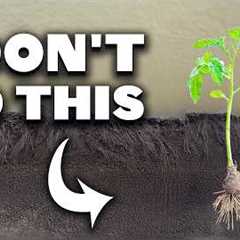 Unpopular Gardening Techniques I Do Anyways (And Why)