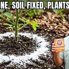 How to Use BAKING SODA in the Garden: 9 Powerful Tips for Healthy Plants & Pest-Free Growth!