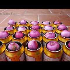 🔴Useful Tips & Tricks Urban Gardening Recycled Materials | Vegetable Growing Ideas for..