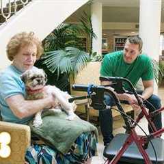 Lucky Dog Marathon | Rescue Dogs Find Their Happy Endings