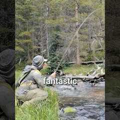 The Fly Fishing Mistake That Scares Fish Away