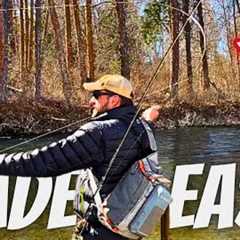 How to Cast a Fly Rod for Beginners (5 Fly Casting Tips That Will Help!)