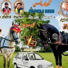 Buraq Vs Chota Charsi Horse Race || Tanga Race || #horse #horseriding #viral 