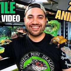 FEEDING MY PET REPTILES! LIZARDS, TURTLES, FROGS AND MORE + CRAZY TOKAY GECKO ATTACK!