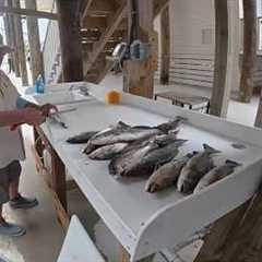 Shell Beach Speckled Trout Island Hopping Burning Gas Looking For Big Trout 