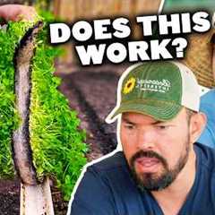 Pro Gardeners Expose The Truth Behind Viral Garden Hacks