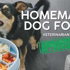 VET APPROVED Homemade Dog Food Recipe (Affordable & Healthy)