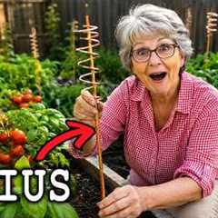 25 Smart Gardening Hacks Grandma Used (That Beginners Never Learn)