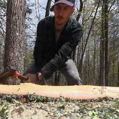 Log Cabin Build on Off-Grid Homestead | Save Money...Do It By Hand