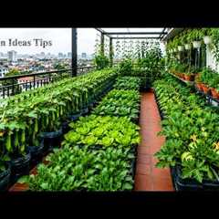 🔴TIPS Balcony Gardening Ideas Using Recycled Materials | Balcony Gardening Secrets for Beginners