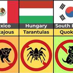 Illegal Exotic Pets (By Country)