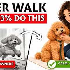 Only 3% of Dog Owners Do This After a Walk (It Changes Everything)