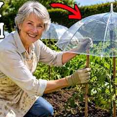 Grandma’s Best Gardening Hacks You’ll Wish You Knew Sooner (Perfect for May)