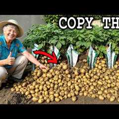 50 Easy Grandparents Vegetable Gardening Hacks You'll Wish You Knew Sooner