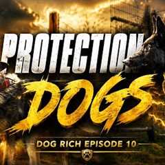 Protection Dog Training Day- Dog Rich Episode 10