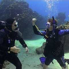 Jake Learns to Dive | JONATHAN BIRD'S BLUE WORLD