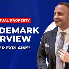 TRADEMARK LAW OVERVIEW | TRADEMARK LAW EXPLAINED BY INTELLECTUAL PROPERTY LAWYER⚖️#LAWYER #TRADEMARK