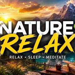 Relaxing instrumental music to reduce stress and promote restful sleep (Nature Relax).🌿