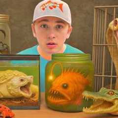 I Bought The Deadliest Animals (to keep as pets)