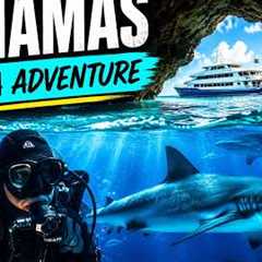 Week of Scuba Diving in Bahamas on a Liveaboard