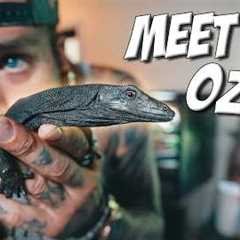 WE GOT A NEW BABY BLACK DRAGON! 😍
