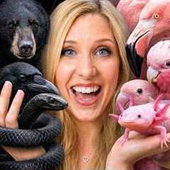 I Adopted Black vs Pink Animals!