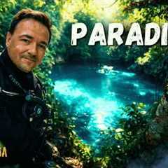 Cave Diving a Hidden Blue Hole in the Indonesian Jungle | Caves of Sulawesi #4