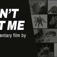 Don't Pet Me – what would you do if your pets were banned?