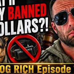 What if they BANNED E Collars?! Dog Rich Episode 11