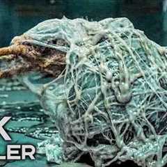 The Best Upcoming Movies 2026 & 2027 (4K Trailers)