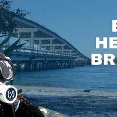 Diving the Blue Heron Bridge - A scuba diving road trip with Katie, The Drysuit Lady