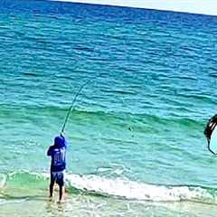I Long Casted My Fishing Camera Into The Ocean And Saw This