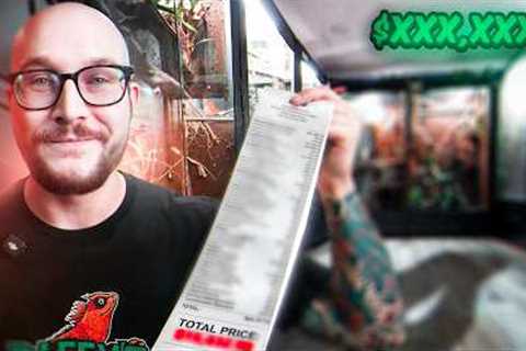 Reptile Room Tour | This is How Much It Costs