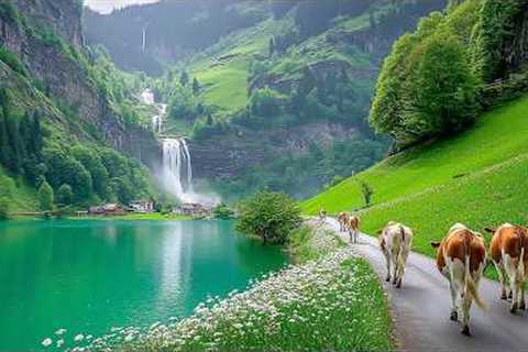 Music Therapy 🌿 Restore the Nervous System, Reduce Anxiety &amp; Deep Sleep Relaxation