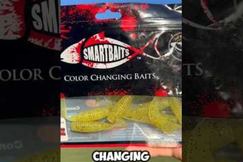 Fishing with Color Changing Lures?!?? #fishing #lure #bass #largemouthbass #crazylure