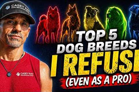 Top 5 Dog Breeds I Refuse to Own (Even As A Pro)
