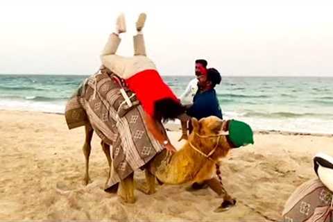 BEST Summer Fail of the Week| Funny travel and vacation fails
