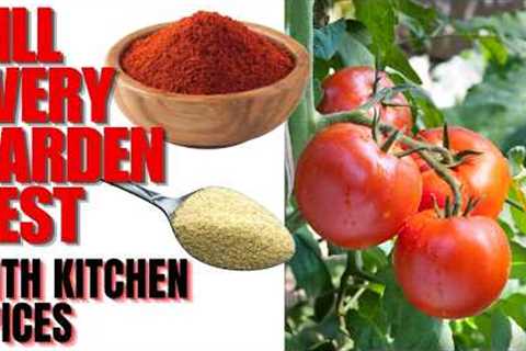 KILL Every Pest In Your Vegetable Garden | Guaranteed Safe METHOD