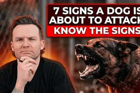 7 Signs A Dog Is About To ATTACK! (And How To Avoid It!)